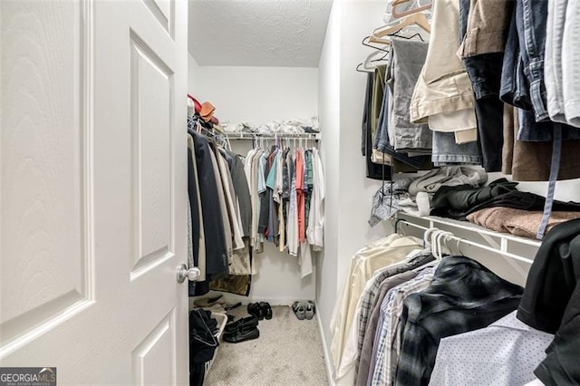 walk in closet with carpet