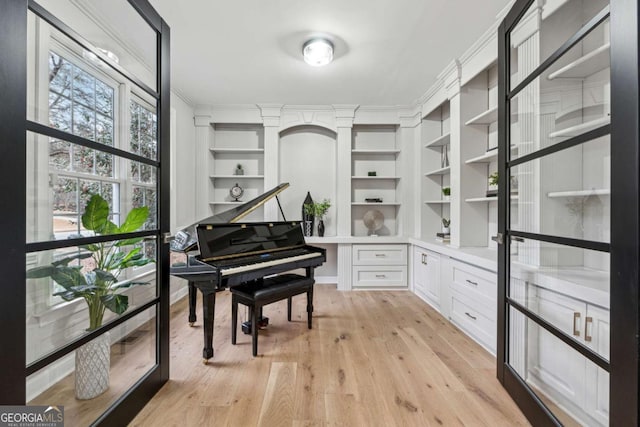 miscellaneous room featuring ornamental molding and light wood-type flooring