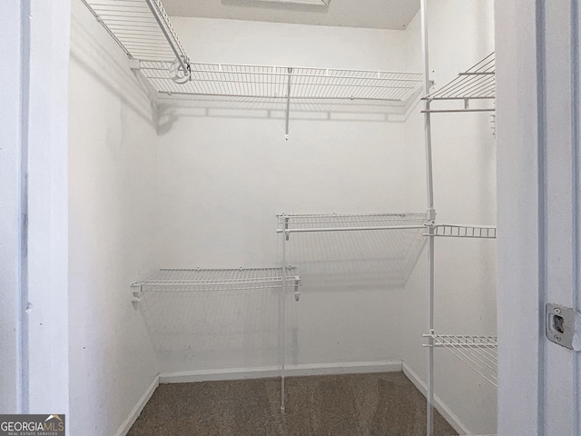 walk in closet featuring carpet flooring