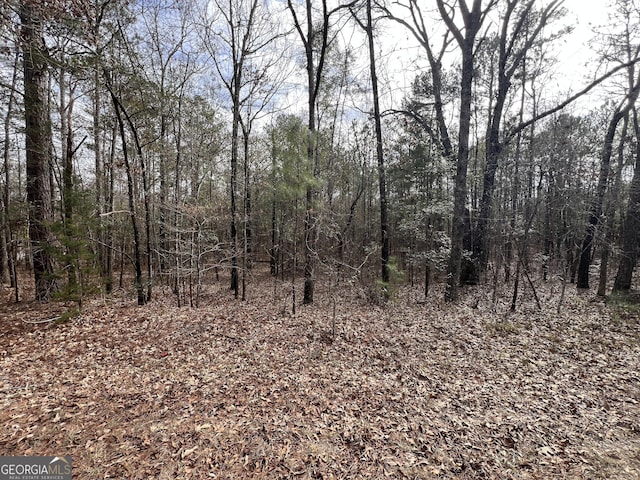 0 Floyd Rd, Pine Mountain GA, 31822 land for sale