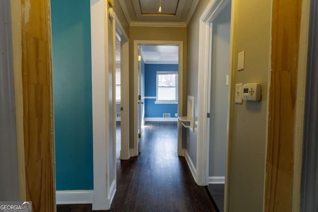 corridor featuring crown molding and dark hardwood / wood-style flooring