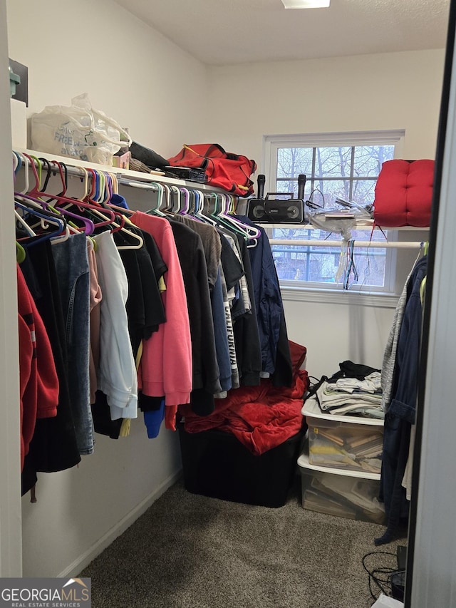 spacious closet featuring carpet