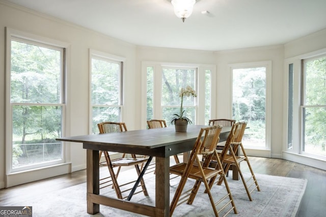 sunroom / solarium featuring a healthy amount of sunlight