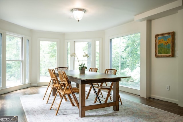 dining area featuring wood-type flooring