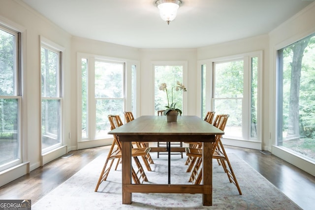 sunroom / solarium featuring plenty of natural light