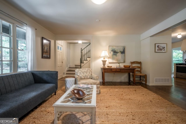 living room featuring dark hardwood / wood-style floors and a healthy amount of sunlight