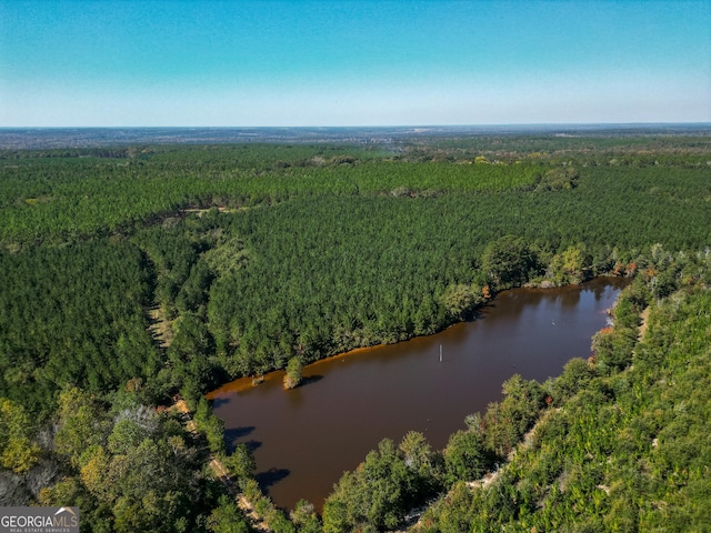 652ACRES Ga Highway 45 S, Americus GA, 31719 land for sale