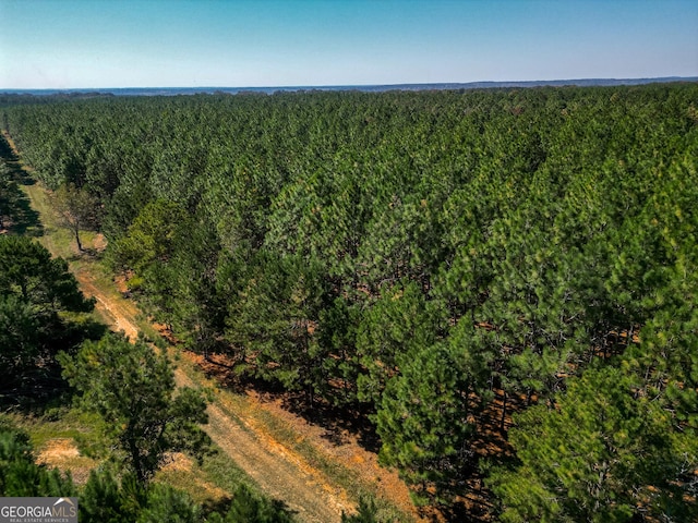 Listing photo 2 for 652ACRES Ga Highway 45 S, Americus GA 31719