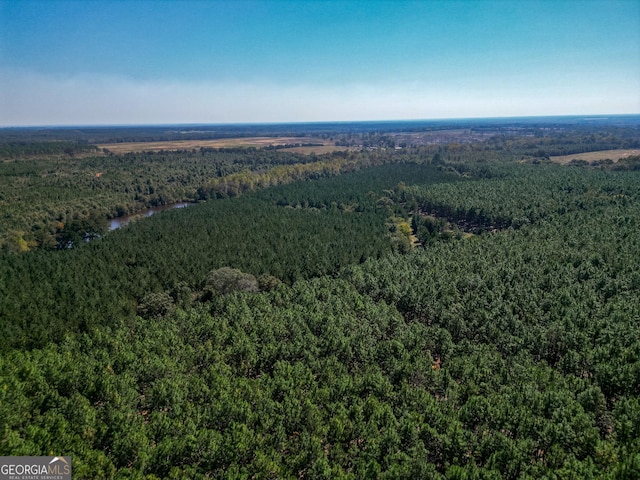 Listing photo 3 for 652ACRES Ga Highway 45 S, Americus GA 31719