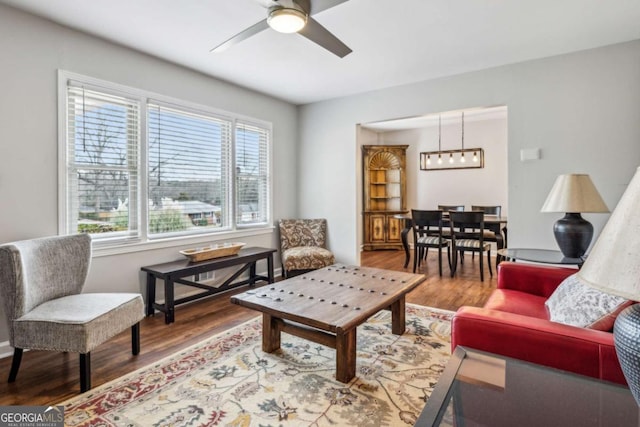 living room featuring hardwood / wood-style floors and ceiling fan