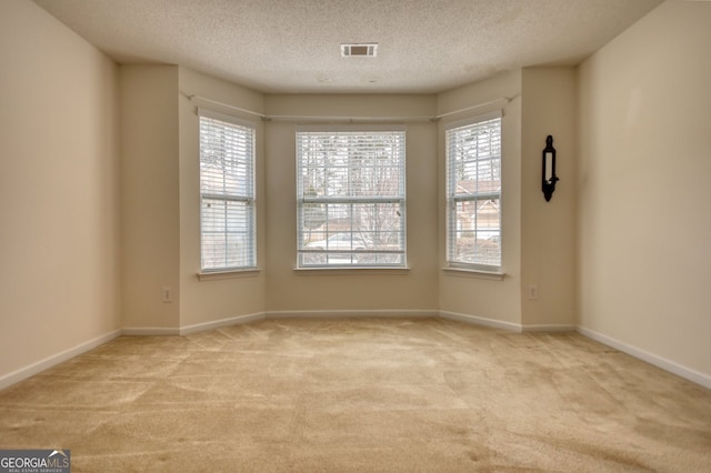 empty room featuring light colored carpet and a textured ceiling