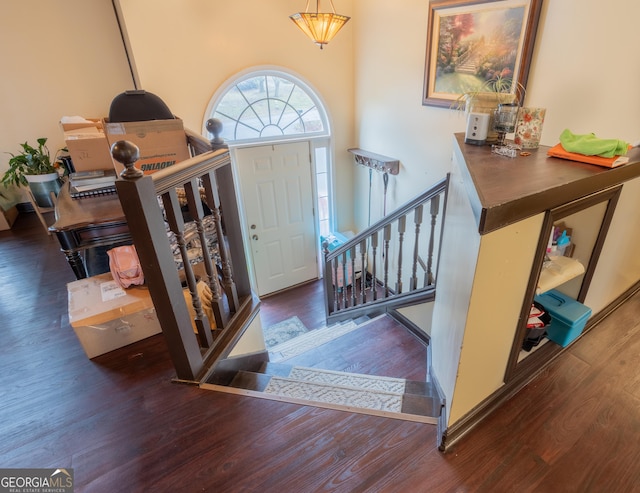 entryway featuring dark wood finished floors