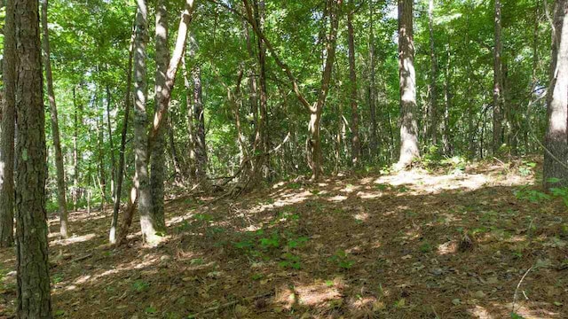 Listing photo 3 for 0 Buckeye Rdg Lot 85, Newnan GA 30263