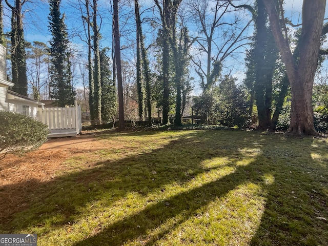 2268 Turtle Club Dr NE, Marietta, GA 30066 - view of yard