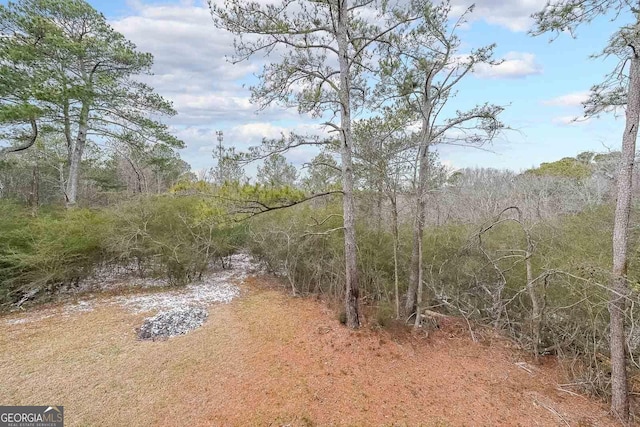 view of local wilderness