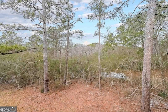 view of local wilderness