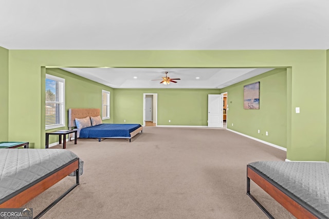 bedroom featuring a tray ceiling and carpet floors