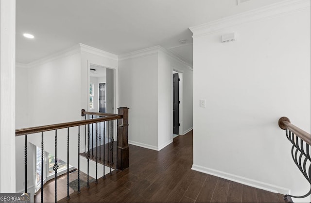 corridor with dark wood-type flooring, plenty of natural light, and ornamental molding