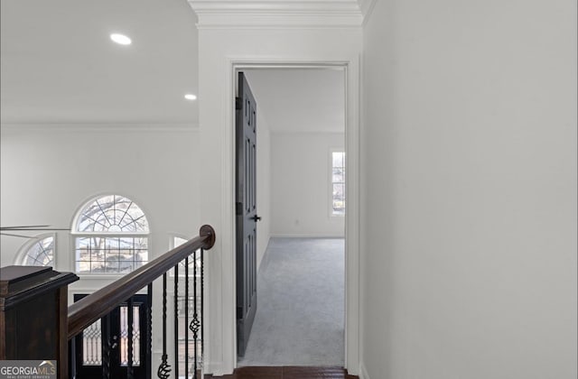 hallway featuring dark carpet