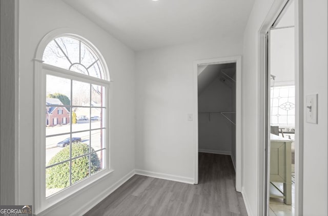 interior space featuring wood-type flooring