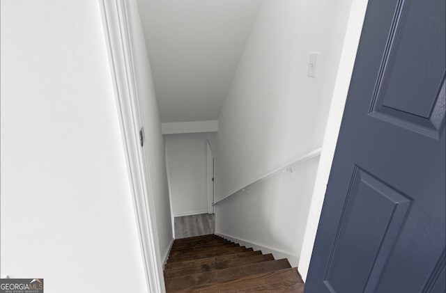 stairway featuring wood-type flooring