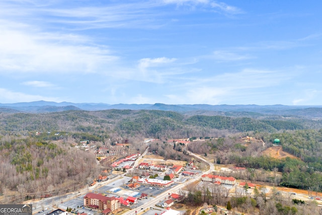 drone / aerial view featuring a mountain view