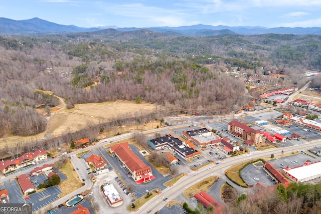 birds eye view of property with a mountain view