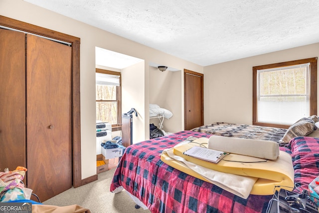 bedroom featuring multiple windows, light carpet, and a textured ceiling