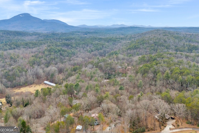 property view of mountains