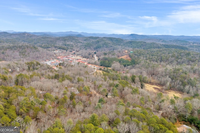 property view of mountains