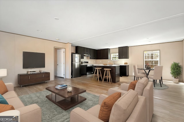 living room with sink and light hardwood / wood-style floors