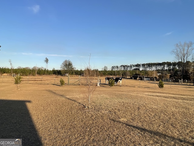 view of yard featuring a rural view