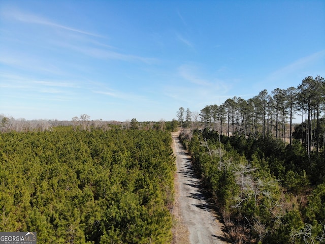 view of local wilderness