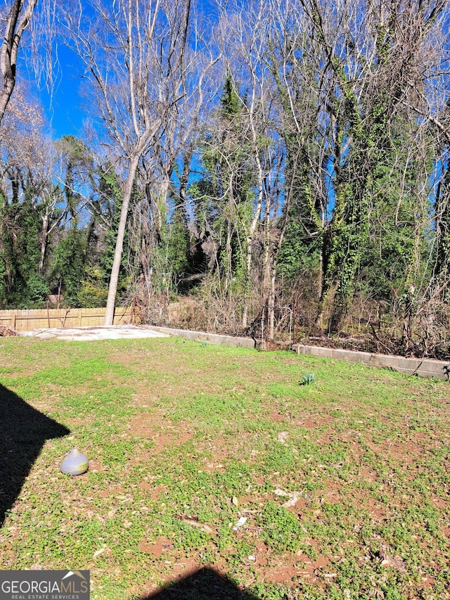 1290 Elizabeth Ave SW, Atlanta, GA 30310 - view of yard