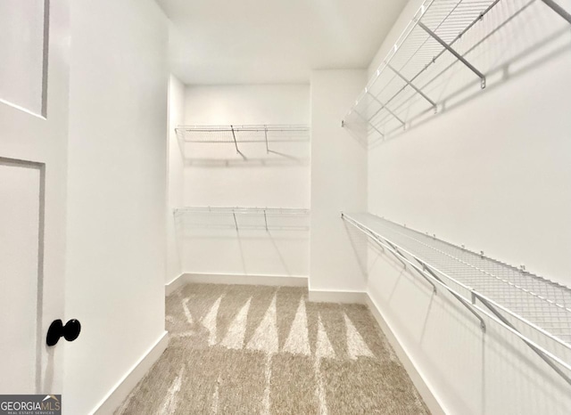 walk in closet featuring carpet floors