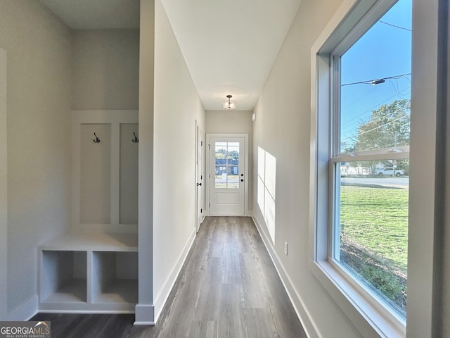 mudroom with dark hardwood / wood-style flooring