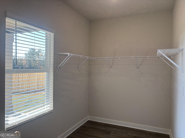 spacious closet with dark hardwood / wood-style floors