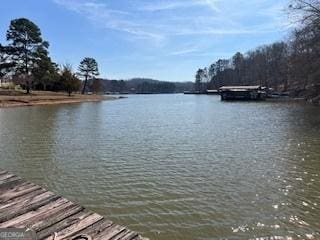 295 Suttles Rd, Martin GA, 30557 land for sale