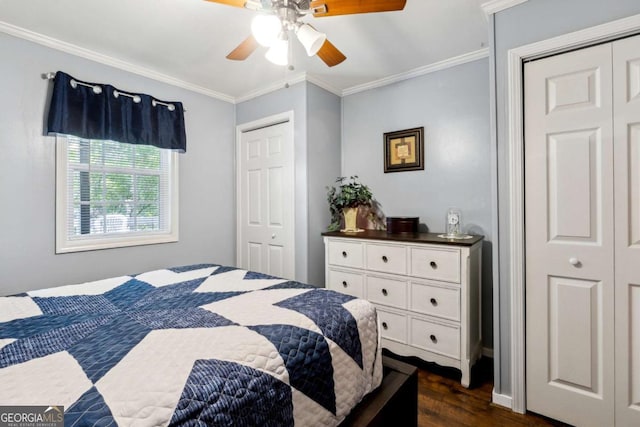 bedroom with ornamental molding, dark wood-type flooring, two closets, and ceiling fan