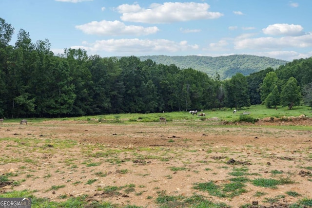 view of mountain feature featuring a rural view