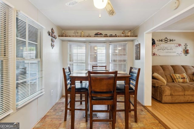 dining room with a wealth of natural light