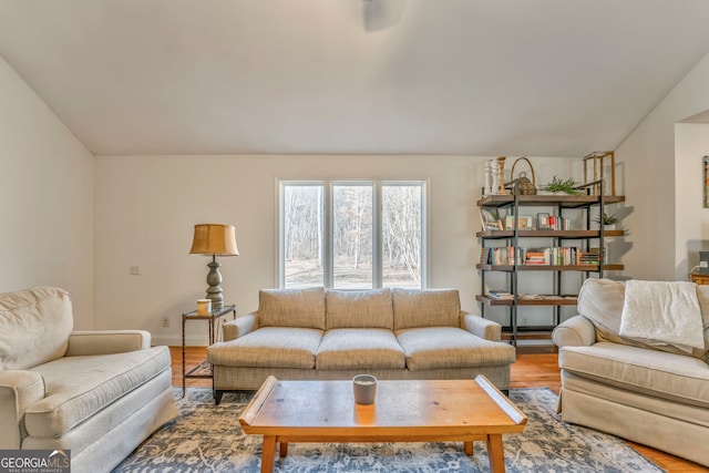 living room featuring wood-type flooring and vaulted ceiling