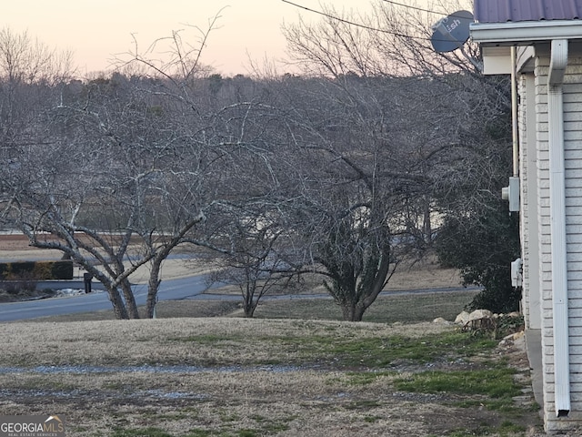 view of yard at dusk