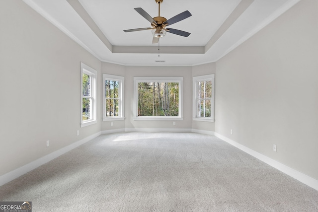 carpeted empty room with ceiling fan and a tray ceiling