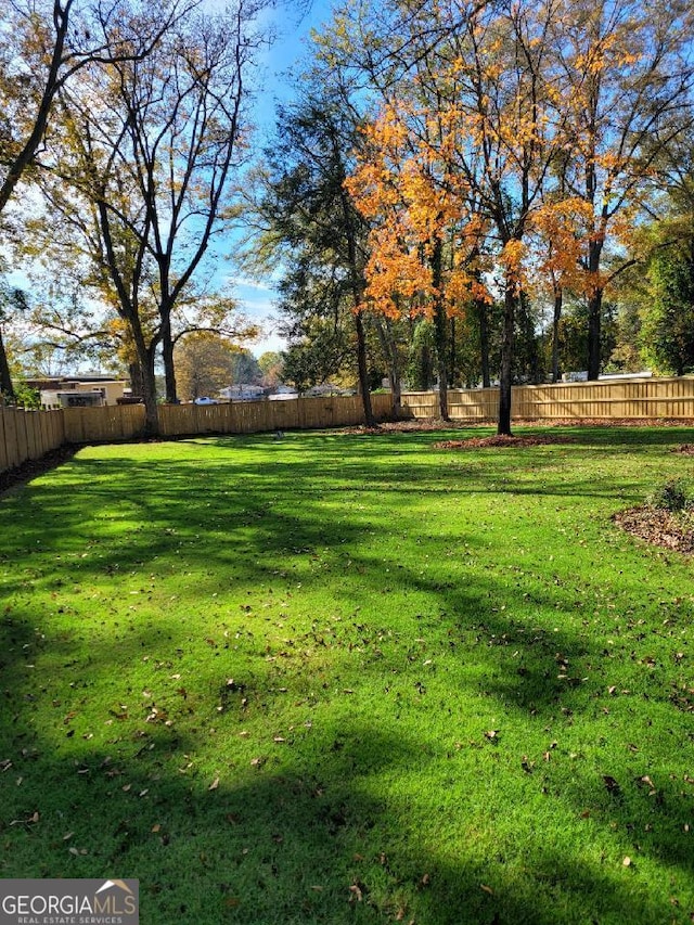213 W Hightower Trl, Social Circle, GA 30025 - view of yard