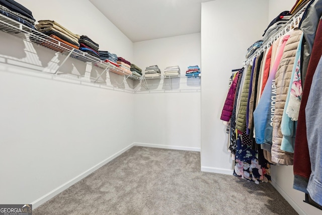 spacious closet featuring light colored carpet