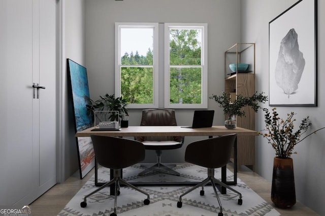 home office featuring light hardwood / wood-style flooring