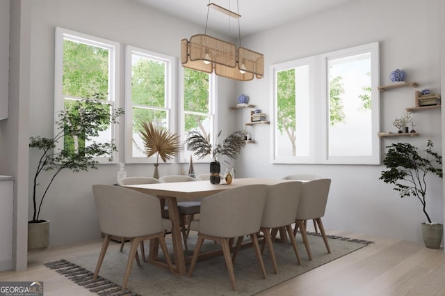 dining space with light hardwood / wood-style floors and a healthy amount of sunlight