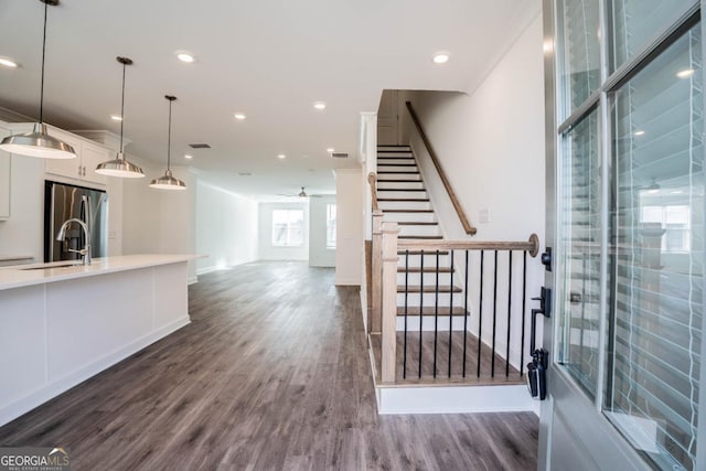 interior space featuring ceiling fan, sink, and dark hardwood / wood-style flooring