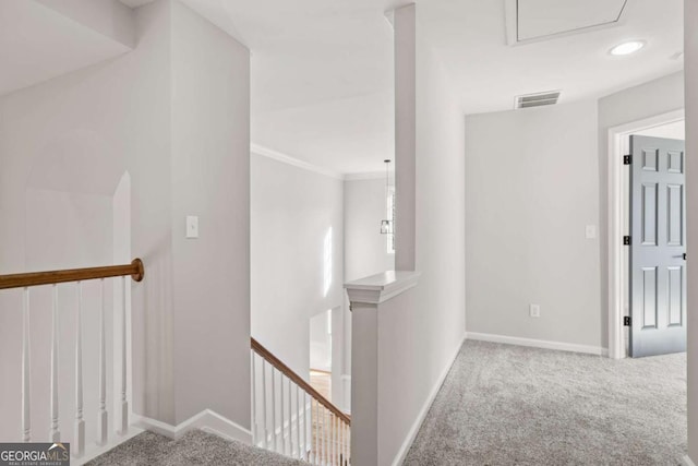 corridor with ornamental molding and carpet